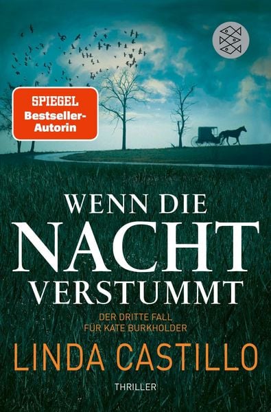 Produktbild: Wenn die Nacht verstummt / Kate Burkholder Band 3
