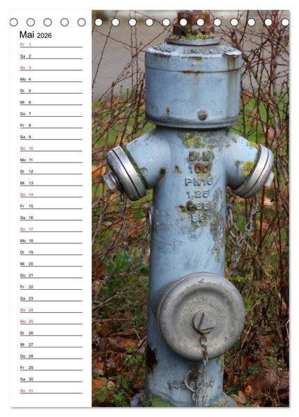 Produktbild: Nostalgie Hydranten (Tischkalender 2026 DIN A5 hoch), CALVENDO Monatskalender