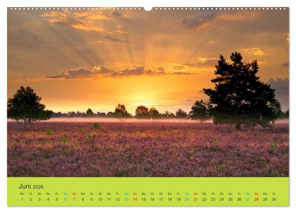 Produktbild: Die Heide bl&uuml;ht (hochwertiger Premium Wandkalender 2026 DIN A2 quer), Kunstdruck in Hochglanz