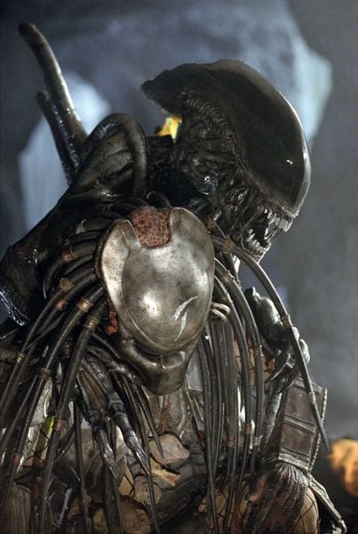 Produktbild: Alien vs. Predator