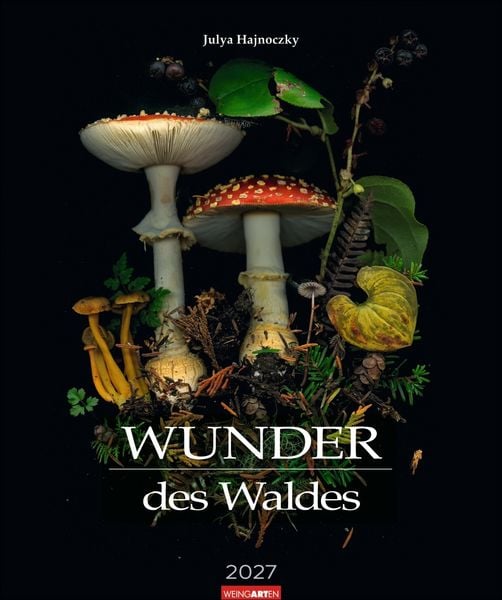 Produktbild: Wunder des Waldes 2027