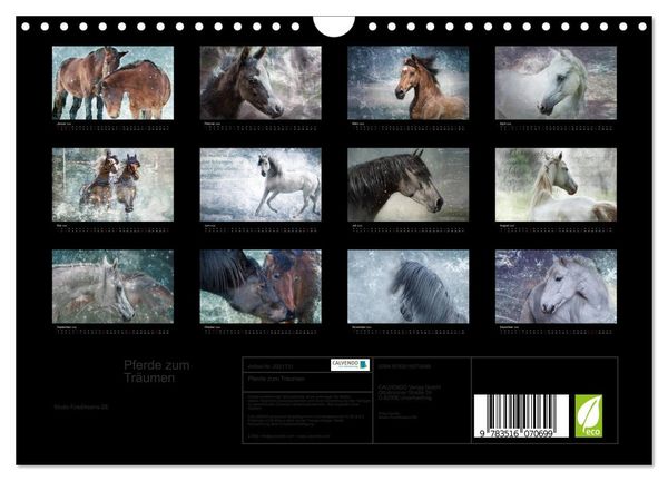 Produktbild: Pferde zum Tr&auml;umen (Wandkalender 2026 DIN A4 quer), CALVENDO Monatskalender