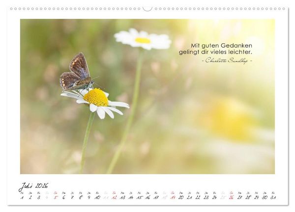 Produktbild: Mit guten Gedanken durch das Jahr (hochwertiger Premium Wandkalender 2026 DIN A2 quer), Kunstdruck in Hochglanz