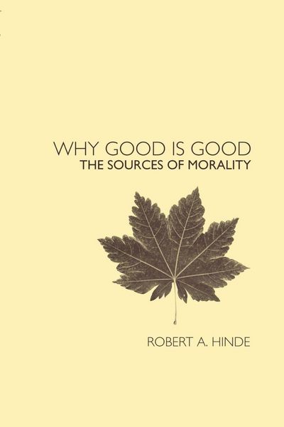 Produktbild: Why Good is Good