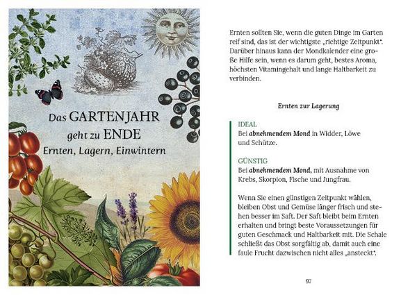 Produktbild: G&auml;rtnern mit der Kraft des Mondes