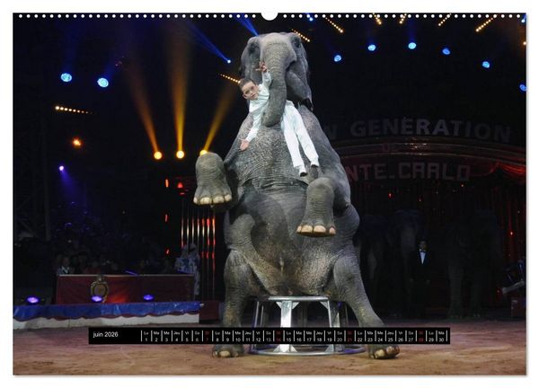 Produktbild: Les cadets du cirque &agrave; Monaco (Calendrier mural 2026 DIN A2 vertical) calendrier de bureau