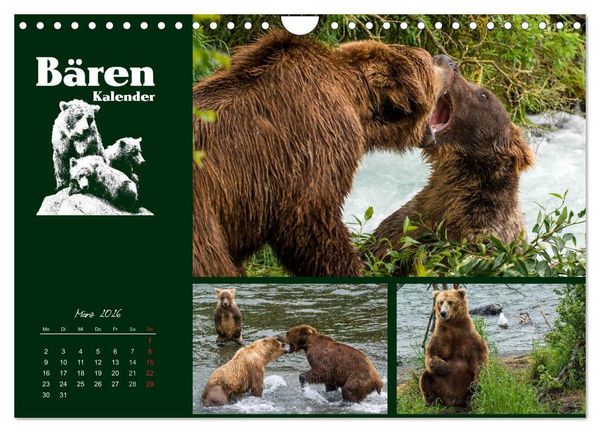Produktbild: B&auml;renkalender (Wandkalender 2026 DIN A4 quer), CALVENDO Monatskalender