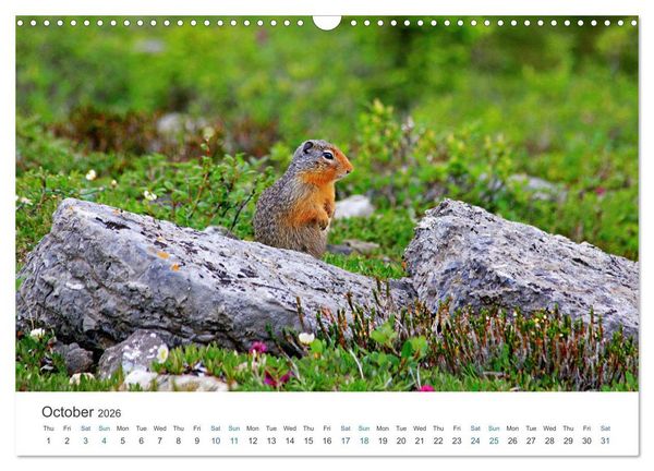 Produktbild: Icefields Parkway in Canada (Wall Calendar 2026 DIN A3 landscape), CALVENDO 12 Month Wall Calendar