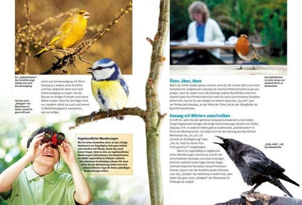 Produktbild: Entdecke die Singv&ouml;gel