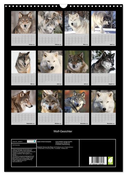 Produktbild: Wolf-Gesichter (Wandkalender 2026 DIN A3 hoch), CALVENDO Monatskalender