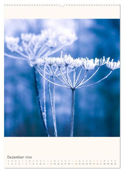 Produktbild: Blumige Fotomalerei (hochwertiger Premium Wandkalender 2026 DIN A2 hoch), Kunstdruck in Hochglanz
