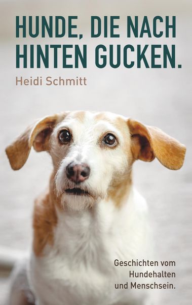 Produktbild: Hunde, die nach hinten gucken.