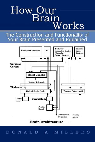 Produktbild: How Our Brain Works