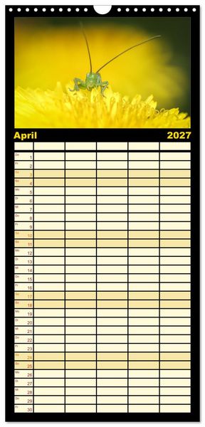 Produktbild: Familienplaner 2027 - Verborgene Wunder mit 5 Spalten (Wandkalender, 21 x 45 cm) CALVENDO