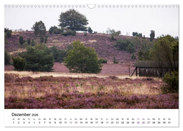 Produktbild: L&uuml;neburger Heide (Wandkalender 2026 DIN A3 quer), CALVENDO Monatskalender
