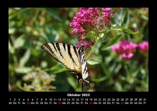 Produktbild: Bilder aus der Natur 2025 Fotokalender DIN A3