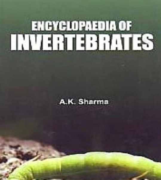 Produktbild: Encyclopaedia Of Invertebrates