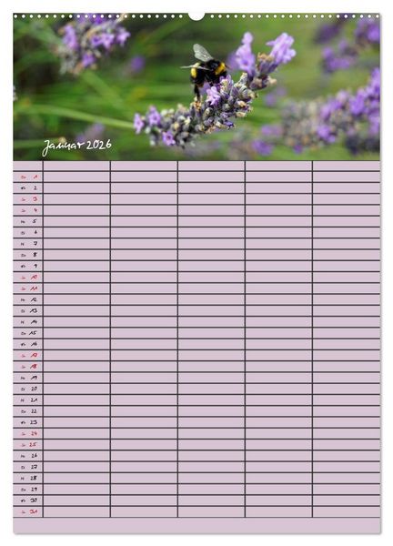 Produktbild: Naturzauber Lavendel - Familienplaner (Wandkalender 2026 DIN A2 hoch), CALVENDO Monatskalender
