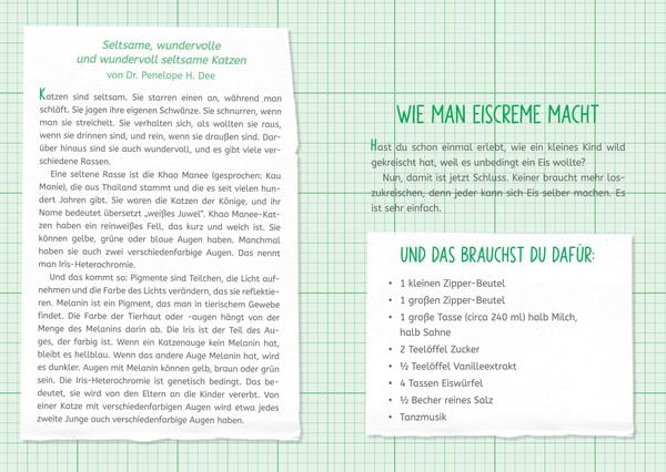 Produktbild: Die Forscherbande: Iggy Peck und das Geheimnis der alten Villa