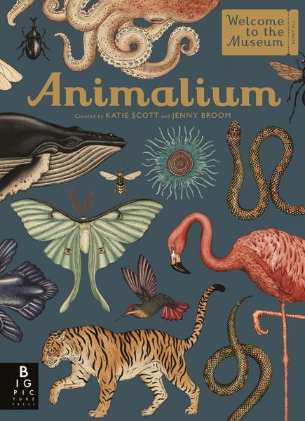 Produktbild: Animalium