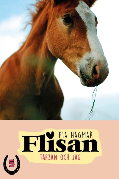Produktbild: Tarzan och jag