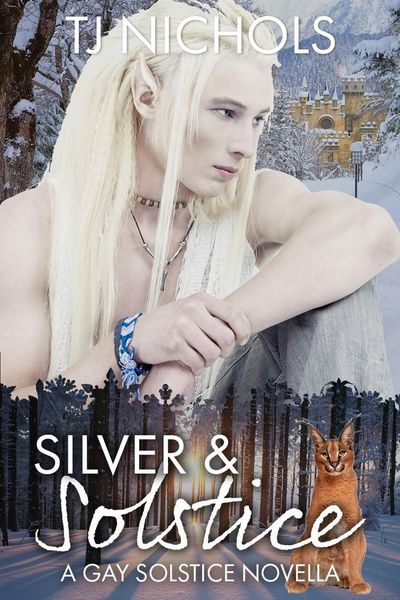 Produktbild: Silver and Solstice