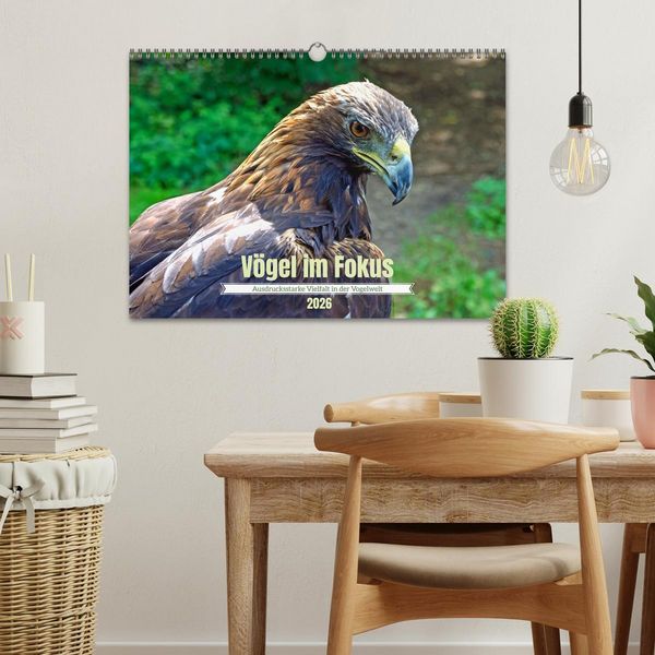Produktbild: V&ouml;gel im Fokus - Ausdrucksstarke Vielfalt in der Vogelwelt (Wandkalender 2026 DIN A3 quer), CALVENDO Monatskalender