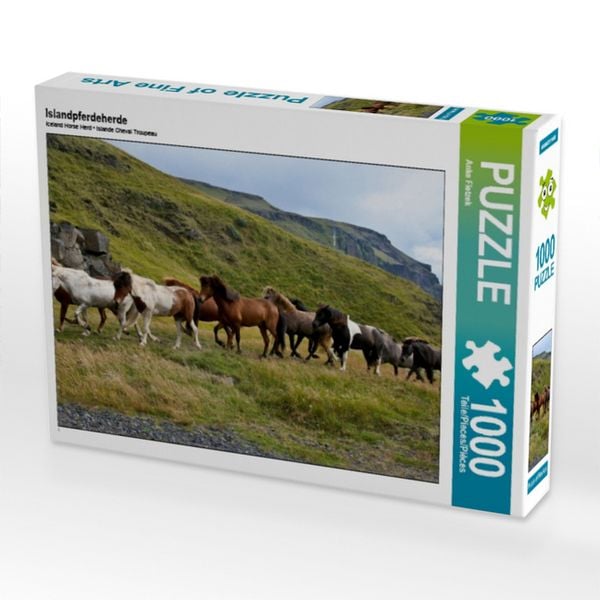 CALVENDO Puzzle Islandpferdeherde | 1000 Teile Lege-Größe 64x48cm Foto-Puzzle für glückliche Stunden