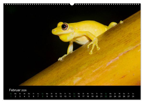 Produktbild: Costa Rica - Faszination Fr&ouml;sche (hochwertiger Premium Wandkalender 2026 DIN A2 quer), Kunstdruck in Hochglanz