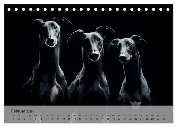 Produktbild: Black is beautiful (Tischkalender 2026 DIN A5 quer), CALVENDO Monatskalender