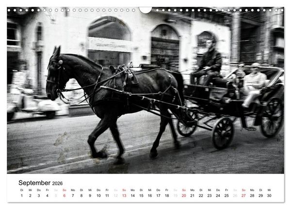 Produktbild: Silberstein portr&auml;tiert Palermo (Wandkalender 2026 DIN A3 quer), CALVENDO Monatskalender