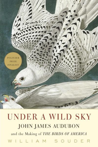 Produktbild: Under a Wild Sky
