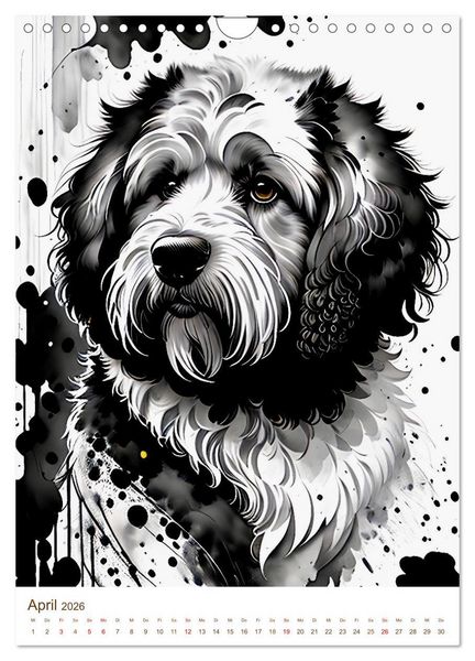 Produktbild: Der Labradoodle (Wandkalender 2026 DIN A4 hoch), CALVENDO Monatskalender