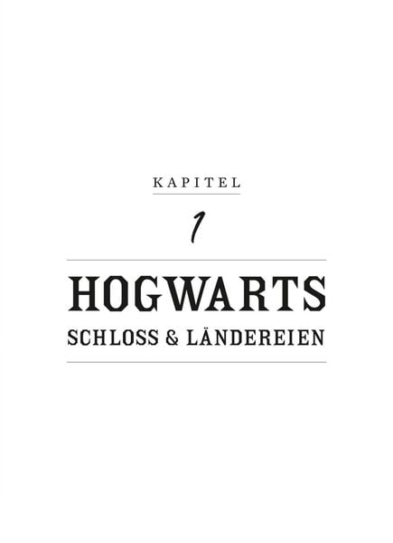 Produktbild: Aus den Filmen von Harry Potter und Phantastische Tierwesen: WHO IS WHO - Die magischen Wesen der Zaubererwelt