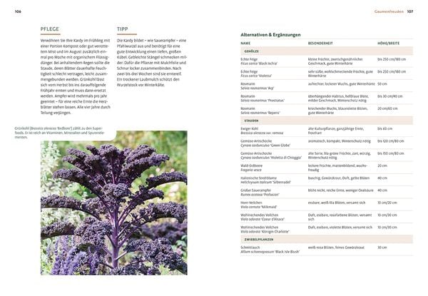 Produktbild: Mein Garten w&auml;chst im Topf