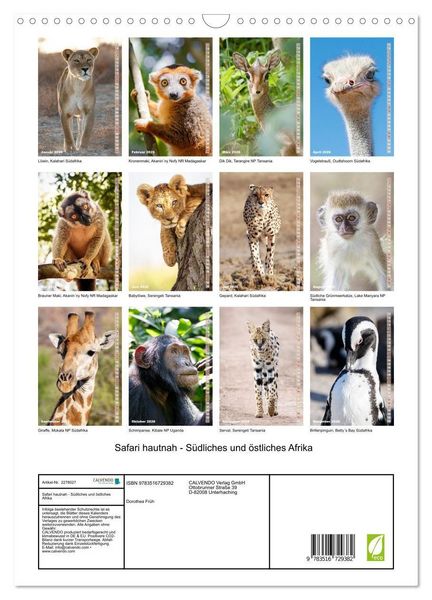 Produktbild: Safari hautnah - S&uuml;dliches und &ouml;stliches Afrika (Wandkalender 2026 DIN A3 hoch), CALVENDO Monatskalender