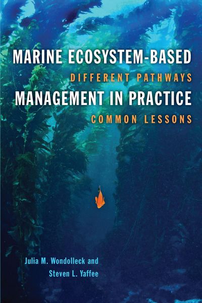 Produktbild: Marine Ecosystem-Based Management in Practice