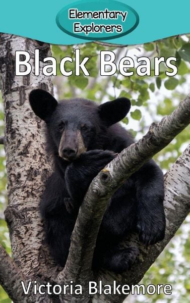 Produktbild: Black Bears