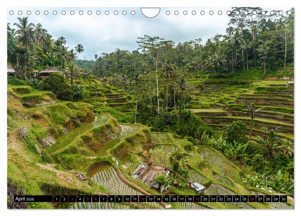 Produktbild: Bali Indonesien (Wandkalender 2026 DIN A4 quer), CALVENDO Monatskalender
