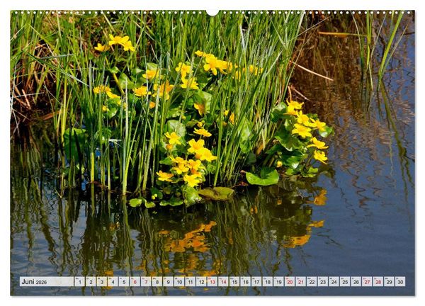 Produktbild: Hochwasser als Teil der Umwelt (hochwertiger Premium Wandkalender 2026 DIN A2 quer), Kunstdruck in Hochglanz
