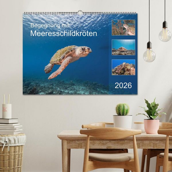Produktbild: Begegnung mit Meeresschildkr&ouml;ten (Wandkalender 2026 DIN A2 quer), CALVENDO Monatskalender