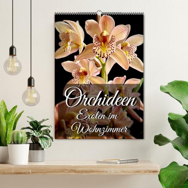 Produktbild: Orchideen - Exoten im Wohnzimmer (Wandkalender 2026 DIN A2 hoch), CALVENDO Monatskalender