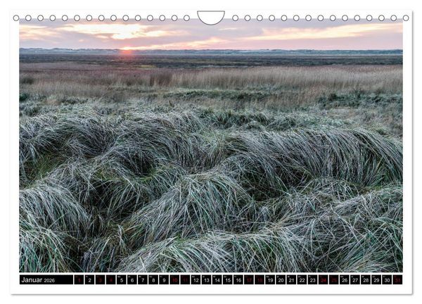 Produktbild: St. Peter-Ording - Natur pur (Wandkalender 2026 DIN A4 quer), CALVENDO Monatskalender