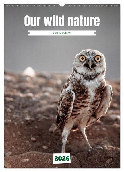 Produktbild: Our wild nature, American birds (Wall Calendar 2026 DIN A2 portrait), CALVENDO 12 Month Wall Calendar