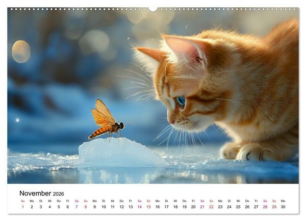 Produktbild: Katzenzauber - Samtpfoten im Jahreslauf (Wandkalender 2026 DIN A2 quer), CALVENDO Monatskalender