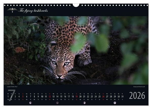 Produktbild: Botswana Blickwinkel 2026 (Wandkalender 2026 DIN A3 quer), CALVENDO Monatskalender