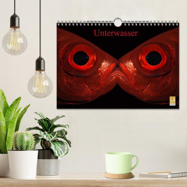 Produktbild: Unterwasser (Wandkalender 2026 DIN A4 quer), CALVENDO Monatskalender