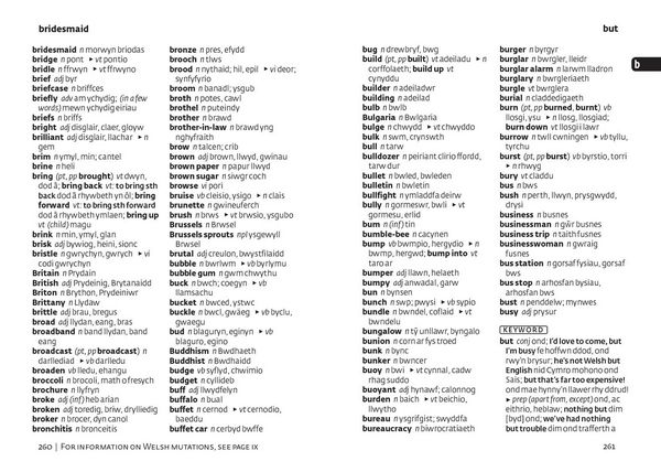 Produktbild: Welsh Gem Dictionary