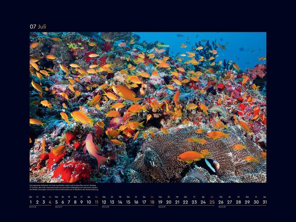 Produktbild: Farben der Erde - KUNTH Wandkalender 2027