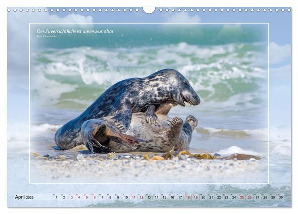 Produktbild: Insel Gedanken (Wandkalender 2026 DIN A3 quer), CALVENDO Monatskalender